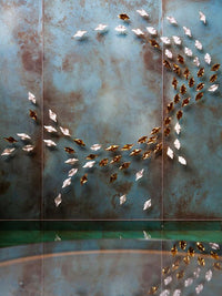 Thumbnail for Golden and White Leaves Wall Decor - 100% MADE IN BRASS